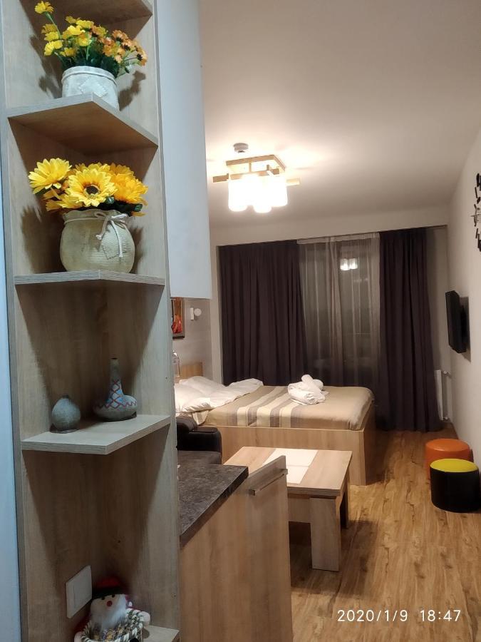 Neu Gudauri Loft2 С Видом На Горы Εξωτερικό φωτογραφία